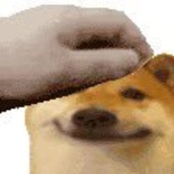 Pet the Dog